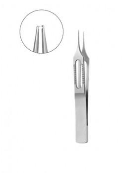 Forceps